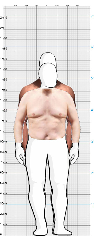 Full Size Comparison