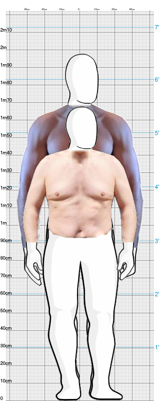 Full Size Comparison