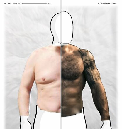 Torso Comparison