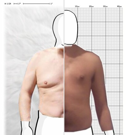 Torso Comparison