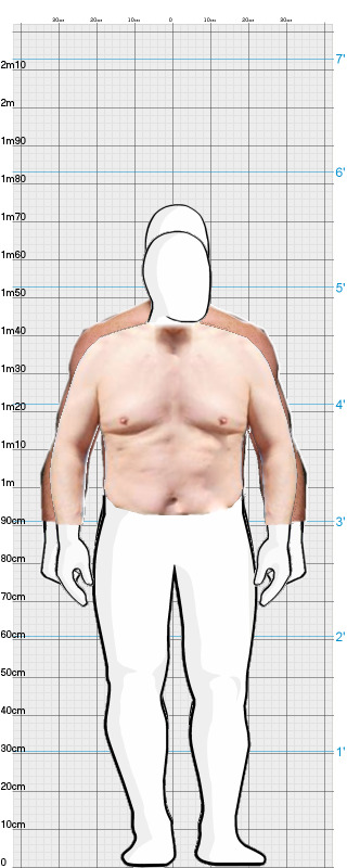 Full Size Comparison