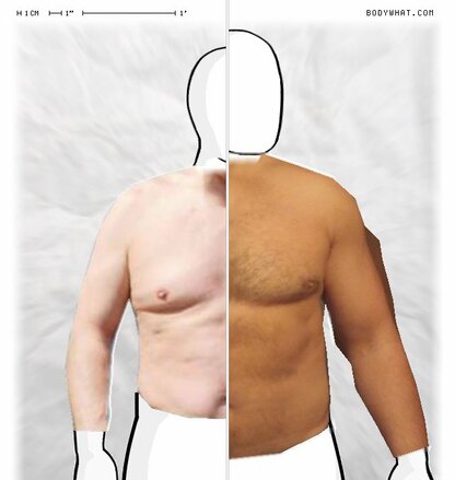 Torso Comparison