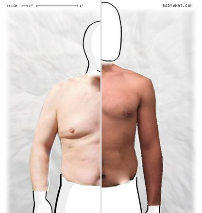 Torso Comparison