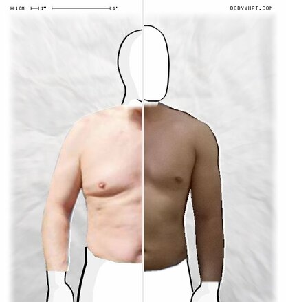 Torso Comparison