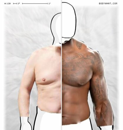 Torso Comparison