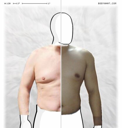 Torso Comparison