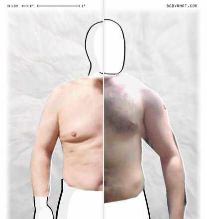 Torso Comparison