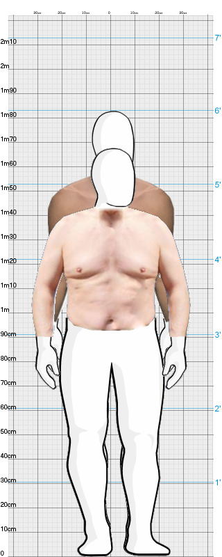 Full Size Comparison