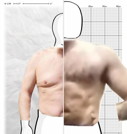 Torso Comparison