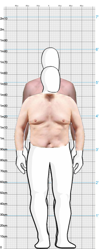 Full Size Comparison