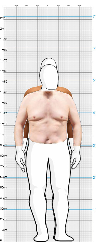 Full Size Comparison