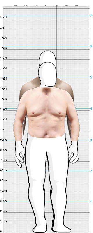 Full Size Comparison