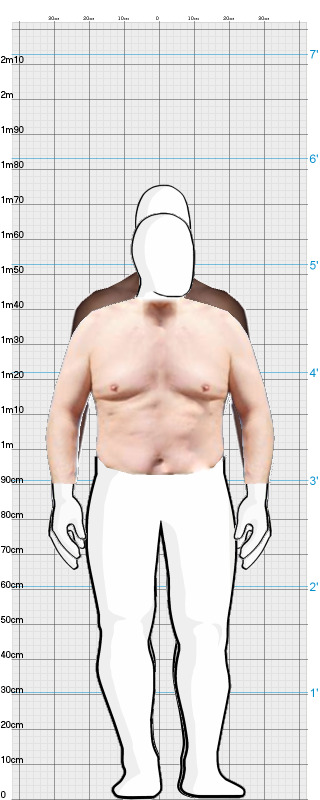 Full Size Comparison