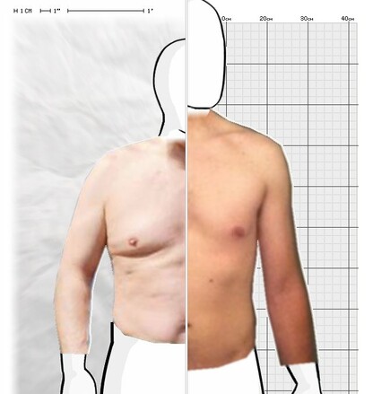 Torso Comparison