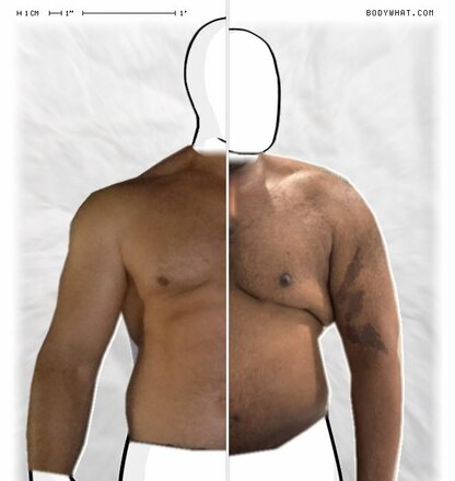 Torso Comparison