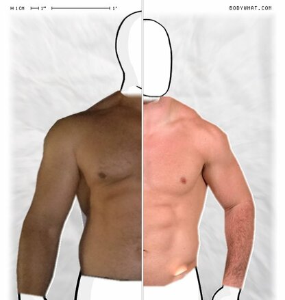 Torso Comparison