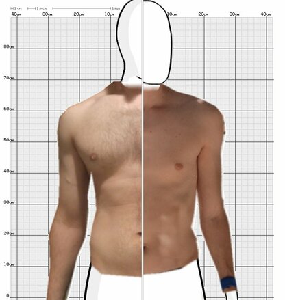 Torso Comparison