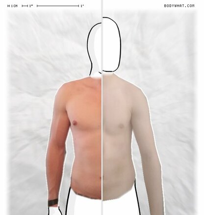 Torso Comparison