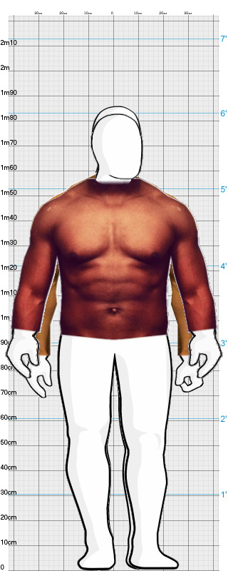 Full Size Comparison