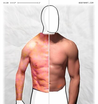 Torso Comparison