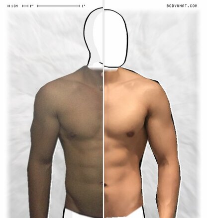 Torso Comparison