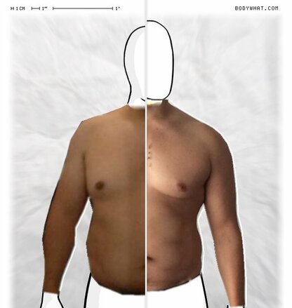 Torso Comparison