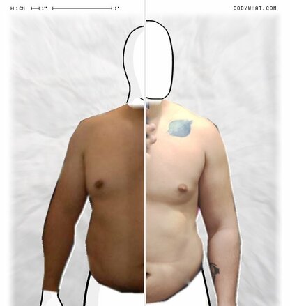 Torso Comparison