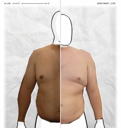 Torso Comparison