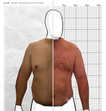 Torso Comparison