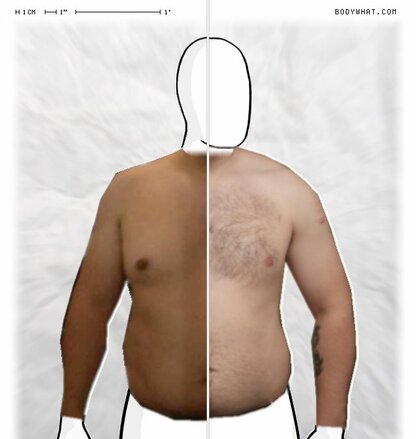 Torso Comparison