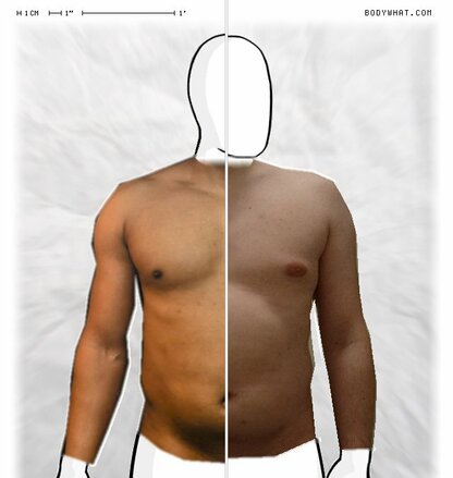 Torso Comparison