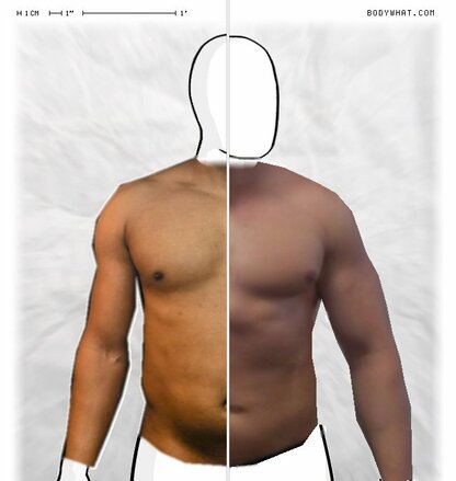 Torso Comparison