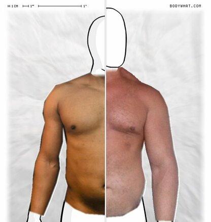 Torso Comparison