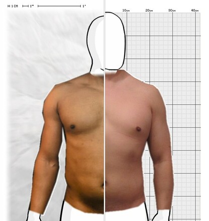 Torso Comparison