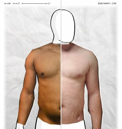 Torso Comparison