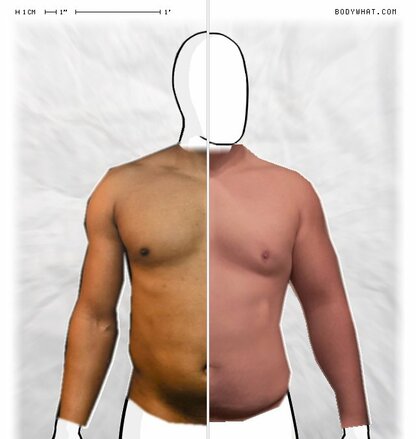 Torso Comparison