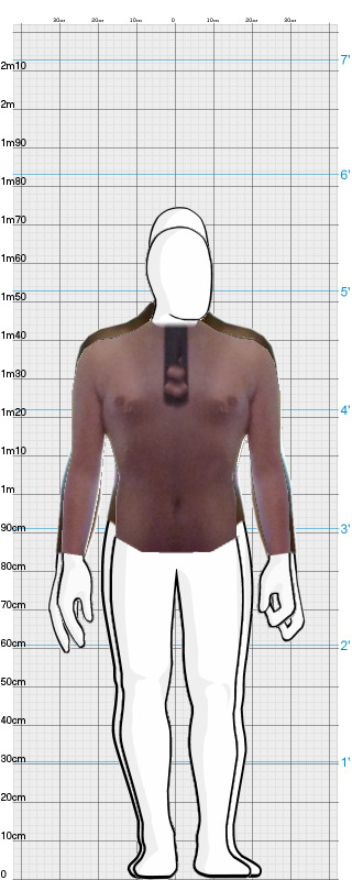 Full Size Comparison