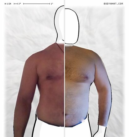 Torso Comparison