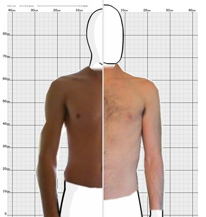 Torso Comparison