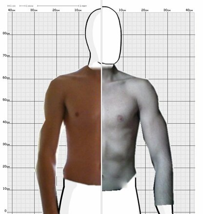 Torso Comparison