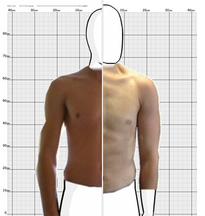 Torso Comparison