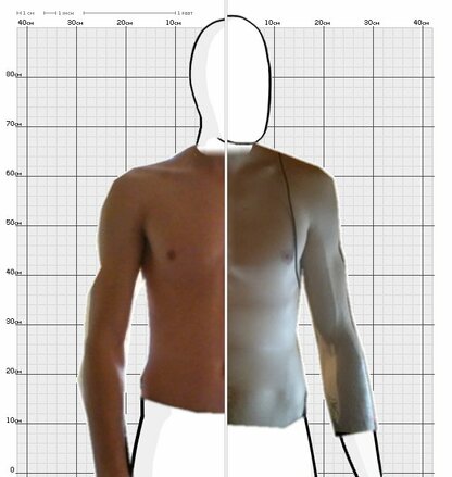 Torso Comparison