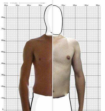 Torso Comparison