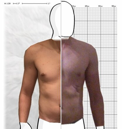 Torso Comparison