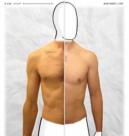 Torso Comparison