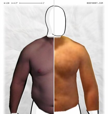 Torso Comparison