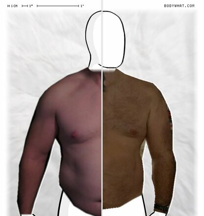 Torso Comparison