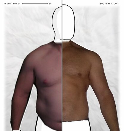 Torso Comparison