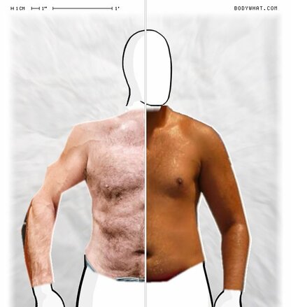 Torso Comparison