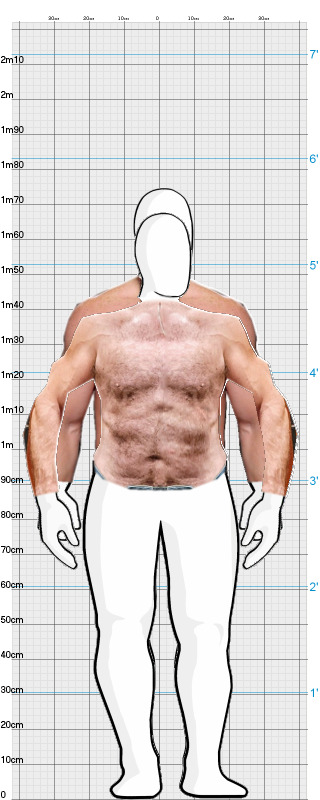 Full Size Comparison